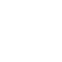 FV Logo